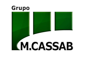 Grupo M